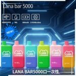 LANA BAR5000口可充电拋棄式一次性電子煙(3.0%)