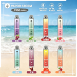 VAPOR STORM風暴辣妹7500口拋棄式一次性可充電電子煙（5%）
